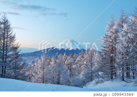 山梨県 冬の富士山 山梨県 冬の富士山 109943369
