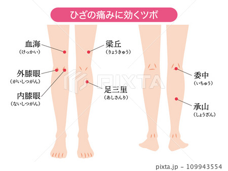 ひざの痛みに効くツボ ひざの痛みに効くツボ 109943554