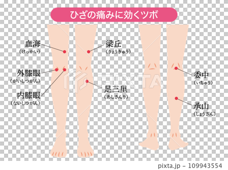 ひざの痛みに効くツボ ひざの痛みに効くツボ 109943554