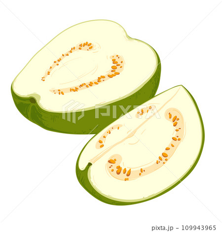 pises fresh guava. Vector illustration. pises fresh guava. Vector illustration. 109943965