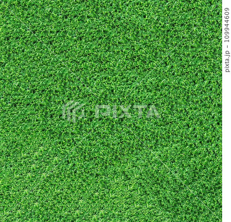 Background texture of green grass top view Background texture of green grass top view 109944609