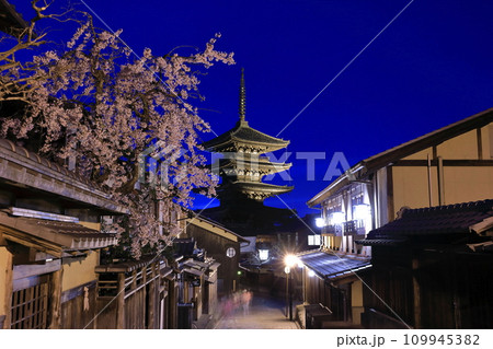 【京都府】桜が満開の八坂の塔の夜景 109945382