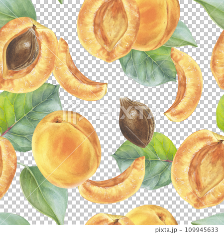 Apricot Watercolor seamless Pattern. Botanical illustration of Fruit. Hand drawn nature ornament on isolated background. Drawing of sweet summer food. Painting of plant for fabric design Apricot Watercolor seamless Pattern. Botanical illustration of Fruit. Hand drawn nature ornament on isolated background. Drawing of sweet summer food. Painting of plant for fabric design 109945633