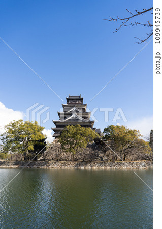 天守閣（広島城） 109945739
