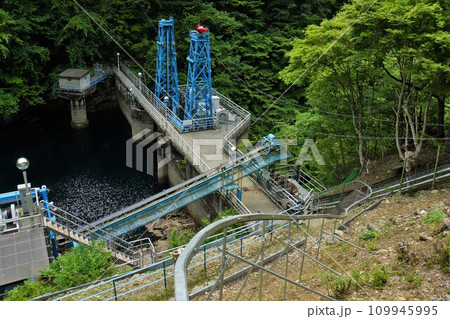 大洞ダムの堤体 大洞ダムの堤体 109945995