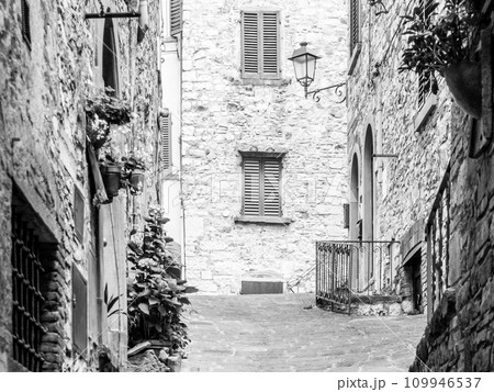 Old medieval street with flowers at stone houses in Tuscan town. Black and white photography. 109946537