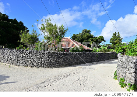 竹富島 青空に映える赤瓦屋根とグックの石垣 竹富島 青空に映える赤瓦屋根とグックの石垣 109947277