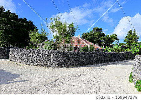竹富島 青空に映える赤瓦屋根とグックの石垣 109947278