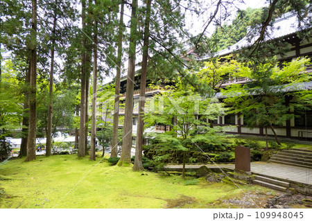 曹洞宗の総本山「永平寺」 in 福井県 曹洞宗の総本山「永平寺」 in 福井県 109948045