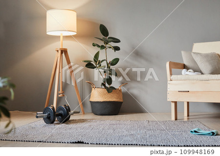 Training, being fit at home. Fitness gum and barbells on the floor in living room, home sporty space for indoors workout. 109948169