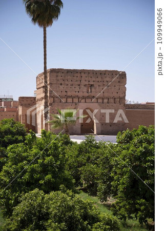 マラケシュのエルバディ宮殿 109949066