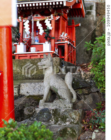 稲荷神社の狛狐 109949450