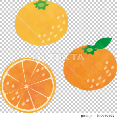 水彩で描いたみかんのイラスト 109949453