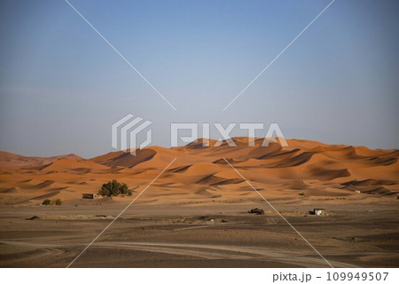 サハラ砂漠 109949507