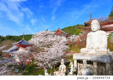 【奈良県】桜が満開の壺阪寺(桜大仏) 【奈良県】桜が満開の壺阪寺(桜大仏) 109949734