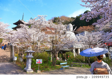 【奈良県】桜が満開の壺阪寺(桜大仏) 【奈良県】桜が満開の壺阪寺(桜大仏) 109949735