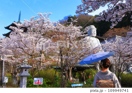 【奈良県】桜が満開の壺阪寺（桜大仏） 109949741