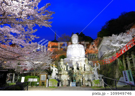 【奈良県】桜が満開の壺阪寺の夜景（桜大仏） 109949746
