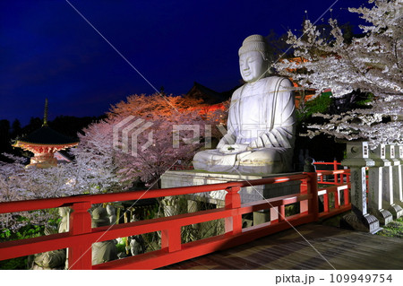 【奈良県】桜が満開の壺阪寺の夜景（桜大仏） 109949754