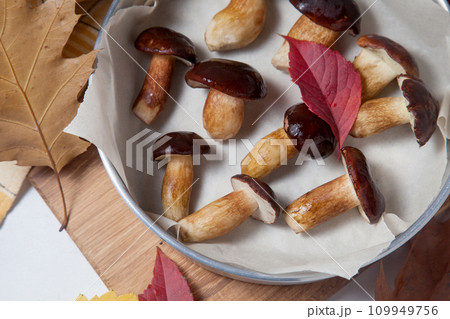 Vintage baking sheet with Imleria Badia or Boletus badius mushrooms commonly known as the bay bolete on wooden cutting board.. 109949756