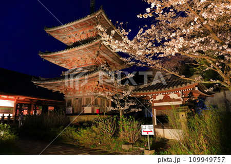 【奈良県】桜が満開の壺阪寺の夜景（桜大仏） 109949757