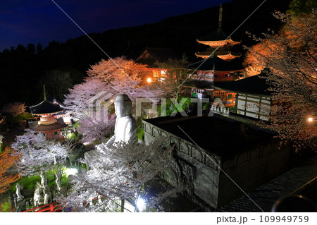 【奈良県】桜が満開の壺阪寺の夜景（桜大仏） 109949759