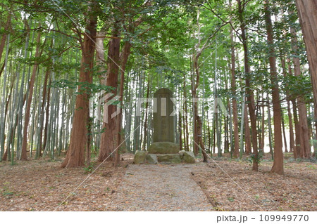 明和　竹神社跡 109949770