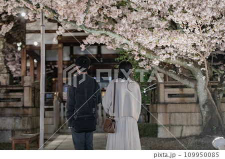 夜桜を楽しむカップル 夜桜を楽しむカップル 109950085