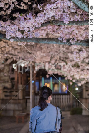 夜桜を楽しむ女性 夜桜を楽しむ女性 109950086
