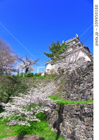 【和歌山県】快晴の和歌山城と満開の桜 【和歌山県】快晴の和歌山城と満開の桜 109950188