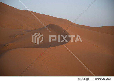 サハラ砂漠 109950308