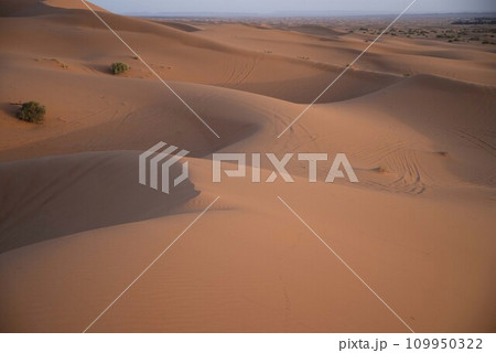 サハラ砂漠 109950322