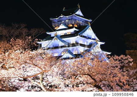 【大阪府】満開の夜桜と大阪城 【大阪府】満開の夜桜と大阪城 109950846