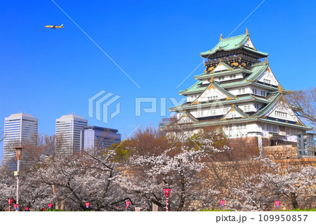 【大阪府】満開の桜と大阪城 109950857