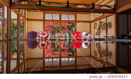 群馬県桐生市、宝徳寺の床もみじ 109950925