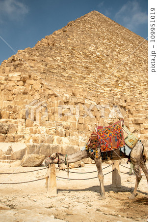 エジプトにあるギザの3大ピラミッドのとても美しい風景 エジプトにあるギザの3大ピラミッドのとても美しい風景 109951019