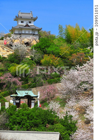 【広島県】桜が満開の因島水軍城 【広島県】桜が満開の因島水軍城 109951051