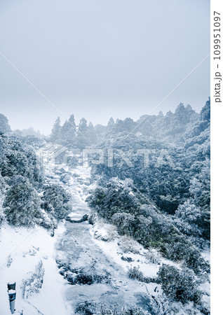 屋久島、花之江河の雪景色が美しい 屋久島、花之江河の雪景色が美しい 109951097