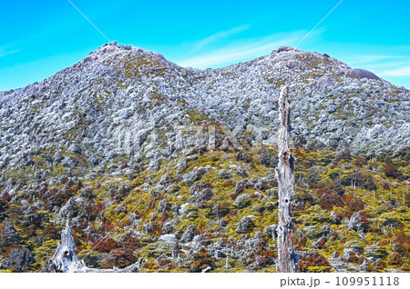 屋久島の美しい山の景色、冬と春が見られる 屋久島の美しい山の景色、冬と春が見られる 109951118