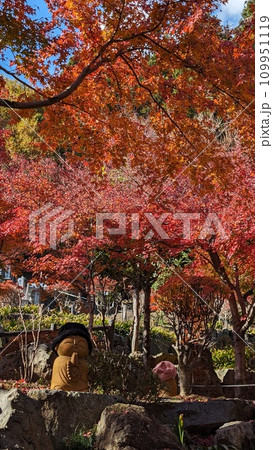 群馬県桐生市、紅葉の宝徳寺のお地蔵さん 109951119