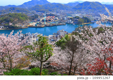 【広島県】桜が満開の千光寺から見た尾道の町並み 【広島県】桜が満開の千光寺から見た尾道の町並み 109951267