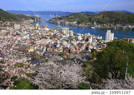 【広島県】桜が満開の千光寺から見た尾道の町並み 109951287