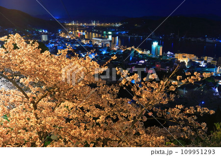 【広島県】千光寺公園の夜桜と尾道の夜景 【広島県】千光寺公園の夜桜と尾道の夜景 109951293