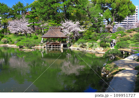 【広島県】桜が満開の縮景園 109951727