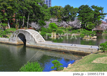 【広島県】桜が満開の縮景園（跨虹橋） 109951739