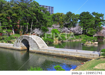 【広島県】桜が満開の縮景園(跨虹橋) 【広島県】桜が満開の縮景園(跨虹橋) 109951741