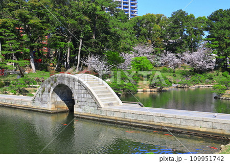 【広島県】桜が満開の縮景園（跨虹橋） 109951742