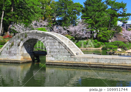 【広島県】桜が満開の縮景園（跨虹橋） 109951744
