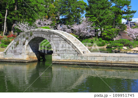 【広島県】桜が満開の縮景園（跨虹橋） 109951745