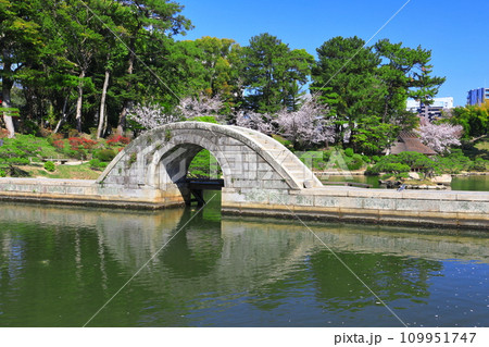 【広島県】桜が満開の縮景園（跨虹橋） 109951747
